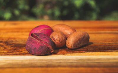 Kola Nuts/Bitter Kola