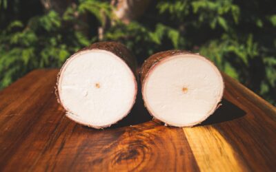 Yuca